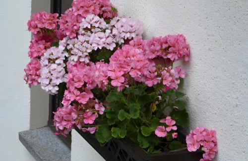 Gemütliche Ferienwohnung in Holzhau - Foto 12