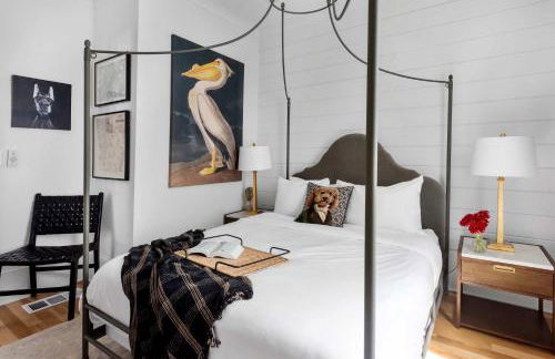 Best in Show - Foto 16