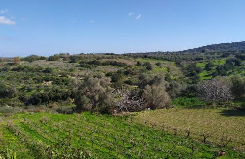 Villa Stefania Dream - Photo 6