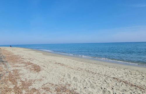 Magnifique villa avec piscine en bord de Mer - Foto 41