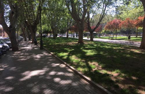 Conde de Vallellano - Foto 18