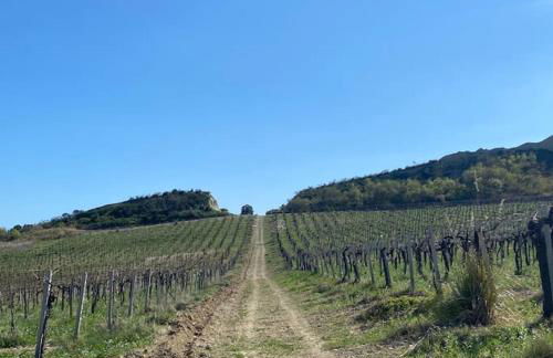 ''Casetta a Colonnella'' - Photo 19