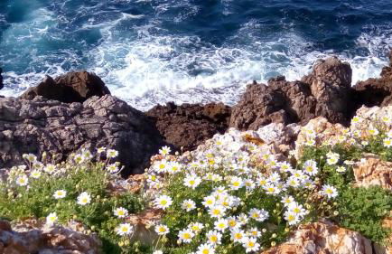 Villa Launa en Port d' Addaia - Foto 34