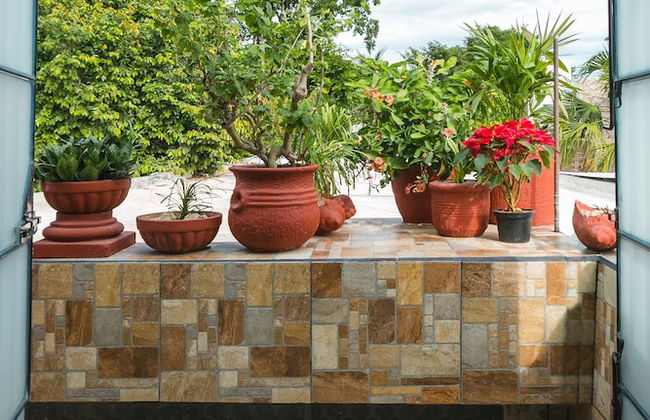 Suite Studio Serviced Apartments - Foto 22