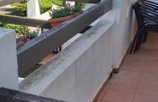 Condado de alhama, naranjos 8 - Foto 32