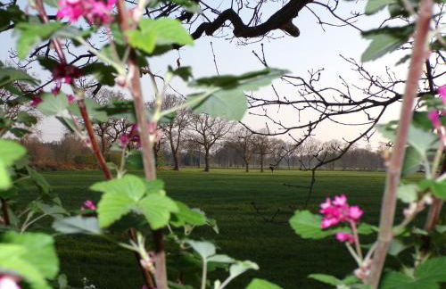 Ferienwohnung Baumann - Foto 19