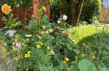 Za Lasem Nad Wodą - Foto 8