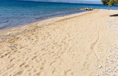 Villa Vlichos - Photo 25