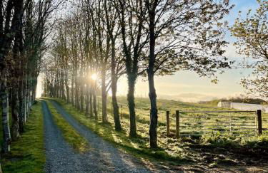 The Garden Room - Cabin on The Lizard - Foto 10
