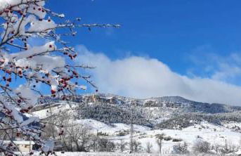 Alojamiento Rural Los Hacheros - Foto 72