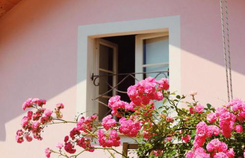 Bice di Casteruggia - Foto 23