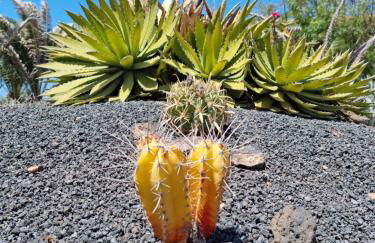 Casa Ina in El Roque, El Cotillo - Foto 58