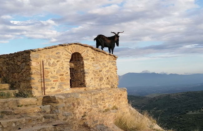 Tour in Espira-de-l'Agly - Foto 1