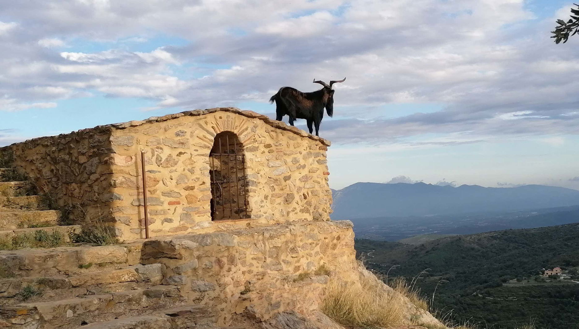Visite privée de l'arrière-pays des Pyrénées Orientales en Citroën 2CV