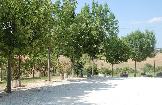 Il Giardino degli Ulivi - Foto 39