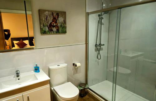 Family and dog friendly stunning barn conversion - Foto 12