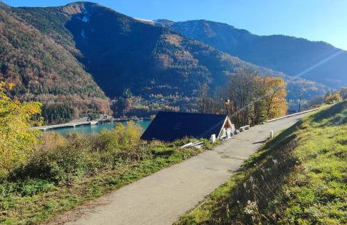 Le Bois Cosy appartement 4 étoiles 6 personnes, ACCES SKI ALPE D'HUEZ GRAND DOMAINE A 3 K M - Foto 20
