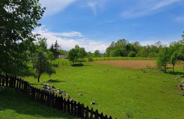 Guest house Mihovil - Foto 32