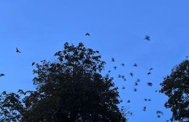 Sunset Retreat Cabin, Private Hot Tub with Mini Cinema Projector & Garden views - Foto 58