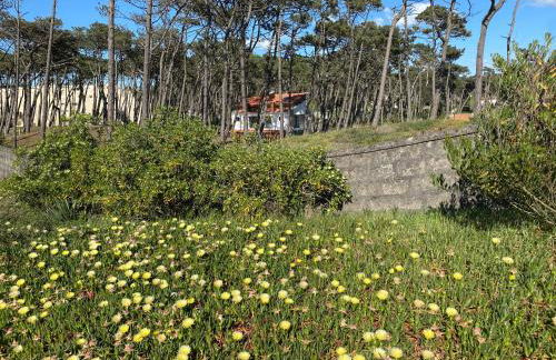 Amais Ofir Heart and Amais Ofir Soul - Twin Vilas - Photo 9