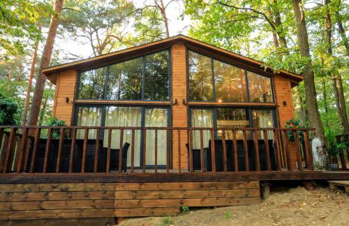 Bizon Village - Foto 66