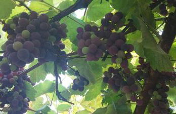 Barnet House Lamezia - Foto 28