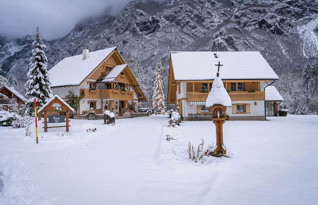 ALPIK Chalets - Bohinj - Foto 1