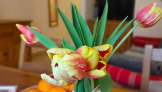 Apartment Einzimmerwohnung Die Katze in Gignod by Interhome - Foto 2