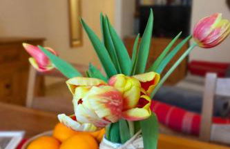 Apartment Einzimmerwohnung Die Katze in Gignod by Interhome - Foto 2