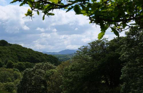 Ty Farm Retreat - Farmhouse Studio - Mountain View - Foto 33