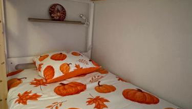 Le cocon de Marckolsheim proche Europapark - Foto 4