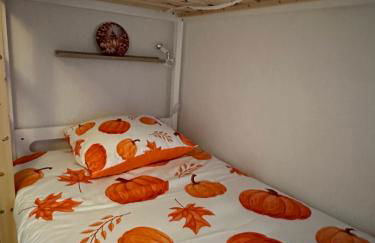 Le cocon de Marckolsheim proche Europapark - Foto 4