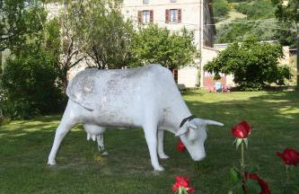 agriturismo montefiorentino - Foto 30