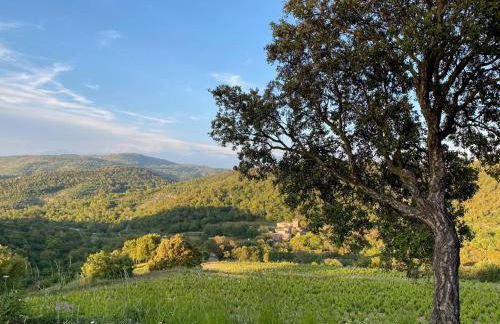 Les Roches du Sud - Foto 12