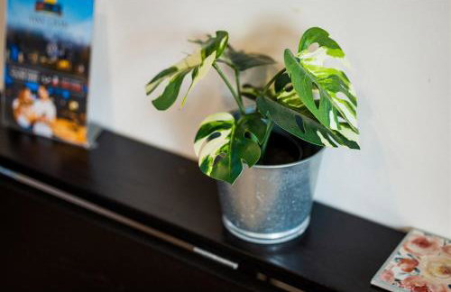 Cape Charles Tiny Livin' - Foto 26