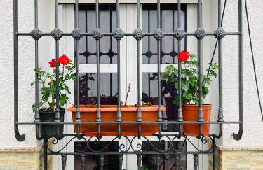 Alojamiento rural Los Pérez Lucainena de las Torres - Foto 42