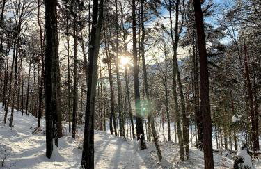Casa di Chiara Andalo Centro - Foto 32