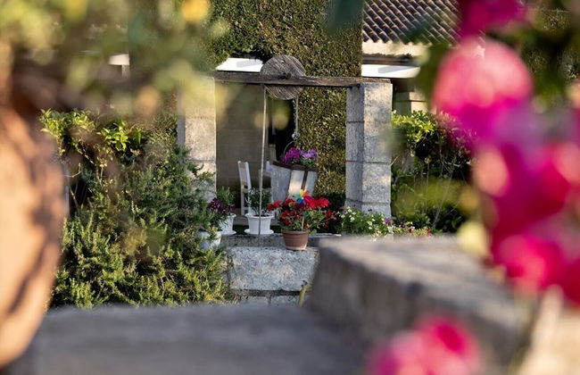 Masseria Costarella - Photo 66