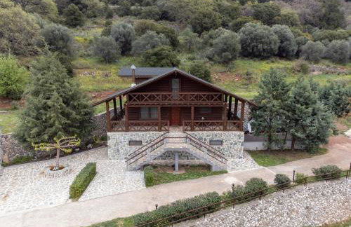 ktima Tzouros - Κτήμα Τζούρος - Foto 22