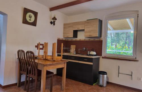 Dom wakacyjny nad jeziorem w Jodłowie II - Foto 3