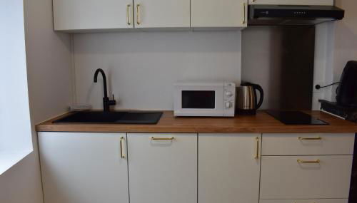 Le Camélinat T2 centre ville Proche stade et parc expo - Foto 3, stove