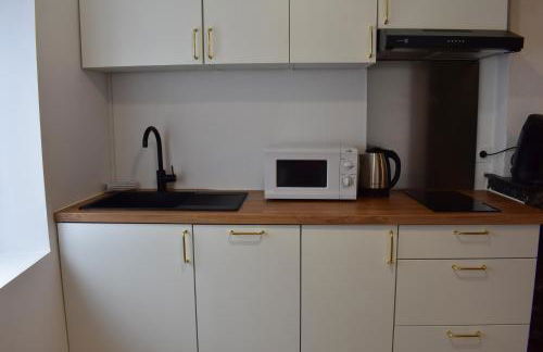 Le Camélinat T2 centre ville Proche stade et parc expo - Foto 3