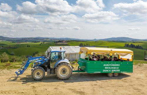 Agriturismo Biologico Diacceroni - Foto 62
