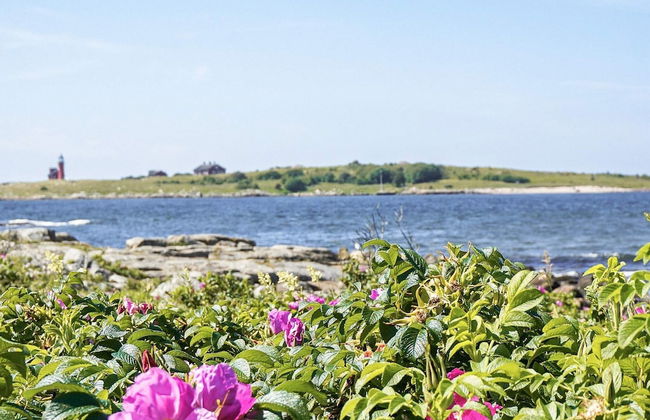 4 Star Holiday Home in Halmstad - Foto 24