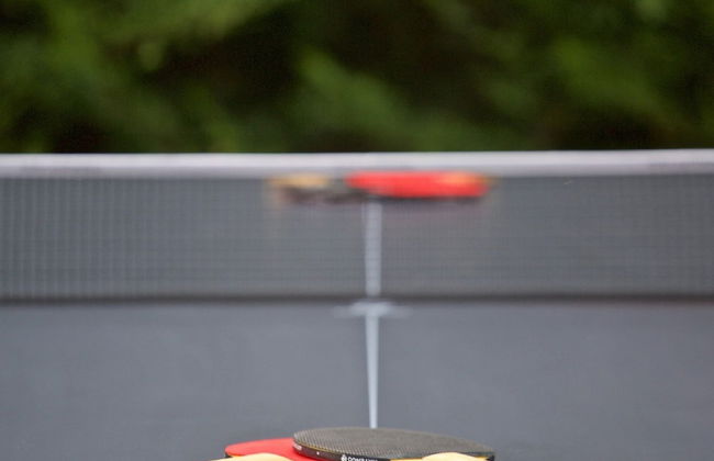 Enticing Holiday Home in Brtonigla with Hot Tub - Photo 28