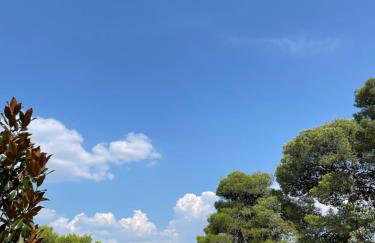 Oleander adria - Foto 41