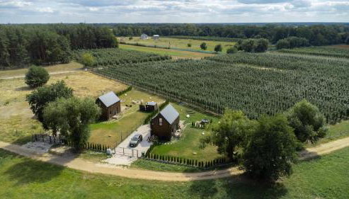 Uroczysko nad Pilicą Sauna & Balia - Foto 5, Garden