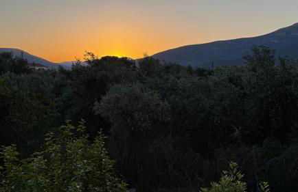 Το Φιλόξενο Σπιτάκι! - The Friendly Nest ! - Foto 17