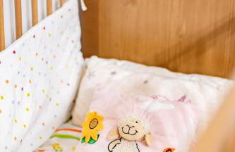 Finca Navalpino a 900 m de Puy du Fou - Foto 60