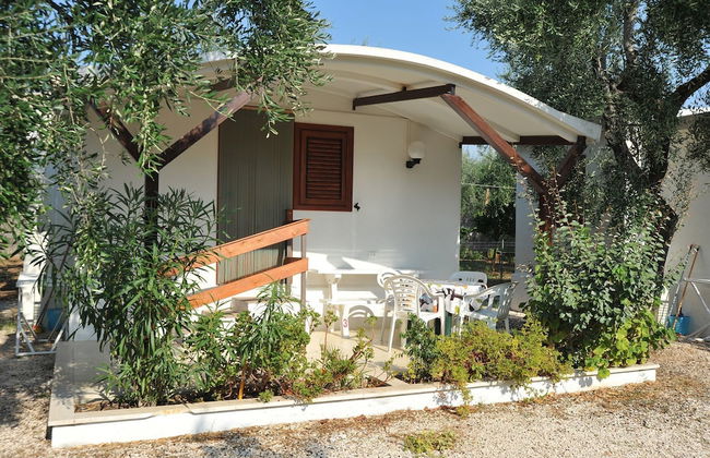 B&B Lido dei Pini - Photo 27